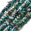 Natural HuBei Turquoise Bead Strands G-H345-A01-07-2
