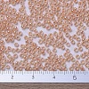 MIYUKI Round Rocailles Beads SEED-JP0008-RR0543-4