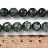 Natural Seraphinite Beads Strands G-C270-O01-11-5