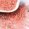 8/0 Glass Seed Beads SEED-Z001-C-E07-1