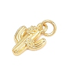 Brass Micro Pave Cubic Zirconia Pendants KK-D258-05G-01-2