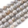 Natural Labradorite Beads Strands G-G212-8mm-23-7