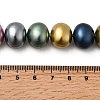 Shell Pearl Beads Strands BSHE-F013-01I-4