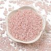 Ceylon Glass Seed Beads SEED-K009-02B-29-2