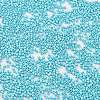 Baking Paint Glass Seed Beads X-SEED-S042-15B-34-3