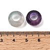 Natural Fluorite European Beads GG-NH0003-A06-3