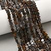 Natural Bronzite Beads Strands G-G085-B60-02-1