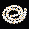 Natural Freshwater Shell Beads Strands SHEL-N003-31C-01-2