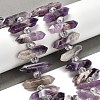 Natural Amethyst Double Terminated Point Beads Strands G-H069-B16-01-2