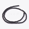 1 Strand Dyed Black Round Synthetic Turquoise Beads Strands X-TURQ-G106-4mm-02C-2