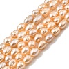 Natural Cultured Freshwater Pearl Beads Strands PEAR-I007-01P-02-2