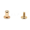 Zinc Alloy Rivets Set PW-WGCEAE9-01-1