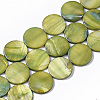 Freshwater Shell Beads Strands X-SHEL-T014-011D-1