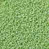 MIYUKI Round Rocailles Beads SEED-JP0009-RR0676-3