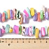 Dyed Natural Trochus Shell Beads Strands SSHEL-C013-09G-4