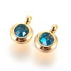 304 Stainless Steel Rhinestone Charms STAS-P237-10G-14-1