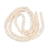 Natural Cultured Freshwater Pearl Beads Strands PEAR-C004-20B-3