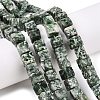 Natural Green Spot Jasper Beads Strands G-T139-8x8-23A-1