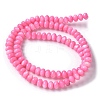 Natural Freshwater Shell Beads Strands SSHEL-C013-07F-2