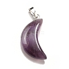 Natural Amethyst Pendants G-Z022-05D-2