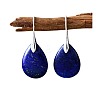 Teardrop Brass Dangle Earrings FS-WGF2982-01-2