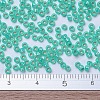 MIYUKI Round Rocailles Beads SEED-X0054-RR0572-4