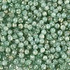 Picasso Baking Paint Glass Seed Beads SEED-N007-35D-3