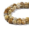 Natural Fossil Coral Beads Strands G-C038-02T-4