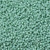 MIYUKI Delica Beads SEED-MY11-DB2125-3