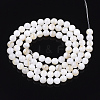 Freshwater Shell Beads Strands X-SHEL-T011-01-5mm-2
