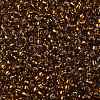 TOHO Round Seed Beads SEED-XTR08-2152S-2