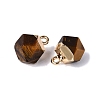 Natural Tiger Eye Pendants G-N359-18G-03-2