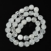 Natural Quartz Crystal Beads Strands G-H023-A17-01-3