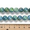 Dyed Natural Fire Crackle Agate Beads Strands G-G203-09A-10mm-5