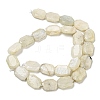 Natural Rainbow Moonstone Beads Strands G-P544-B05-01-3