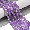 Natural Amethyst Beads Strands G-P497-01E-22-2