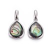 Natural Abalone Shell/Paua ShellCharms BSHE-F011-03B-P-1