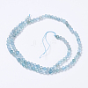 Natural Apatite Beads Strands G-F568-200-2