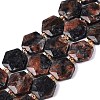 Natural Labradorite Beads Strands G-N368-01A-20-2