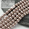 Eco-Friendly Dyed Glass Pearl Round Beads Strands HY-A008-8mm-RB046-2