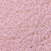 MIYUKI Round Rocailles Beads SEED-G007-RR0427-3