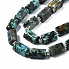Natural African Turquoise(Jasper) Beads Strands X-G-S376-012-3