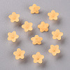 Transparent Acrylic Beads LS-X-PL554-07-3
