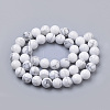 Natural Howlite Beads Strands G-S259-47-6mm-2