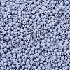 MIYUKI Round Rocailles Beads SEED-G007-RR0498-3