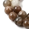 Natural Multi-Moonstone Beads Strands G-J157-10mm-01-4