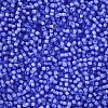 12/0 Grade A Round Glass Seed Beads SEED-N001-D-13/212-2