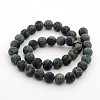 Frosted Natural Kambaba Jasper Beads Strands G-M272-13-6mm-2