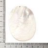 Natural Freshwater Shell Big Pendants SHEL-M021-06-3