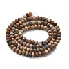 Natural Alashan Agate Beads Strands X-G-C127-B01-01-7